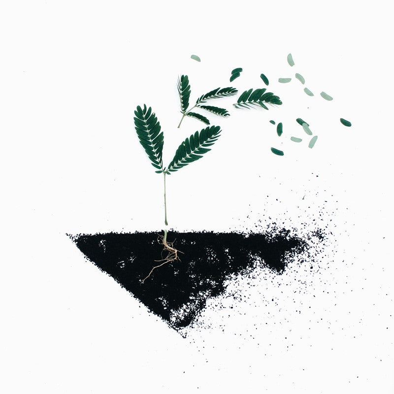 Fulvic Acid and How it Helps Eczema