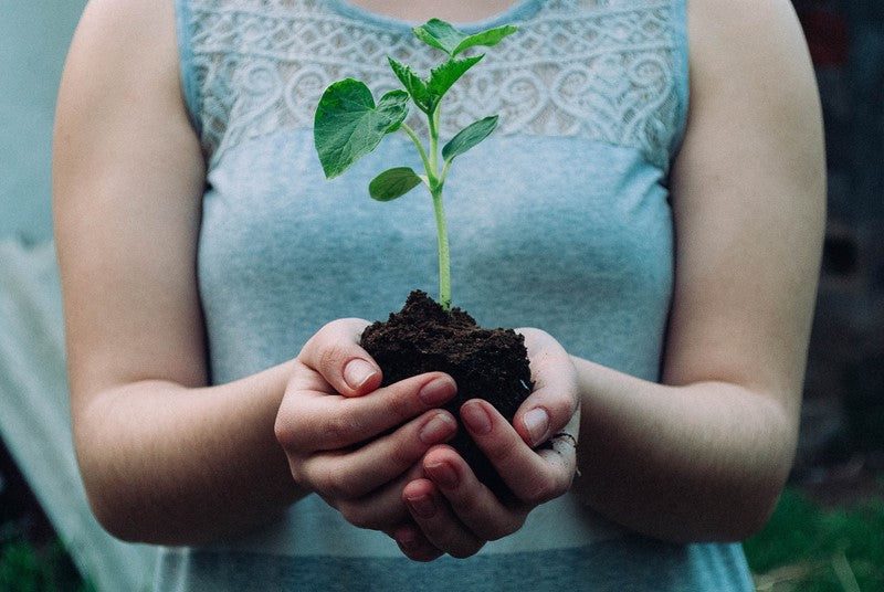What is Fulvic Acid?